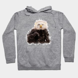 American Bald Eagle Hoodie